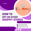 spy on other Shopify Stores